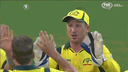 gif-sport-2211-2014-1