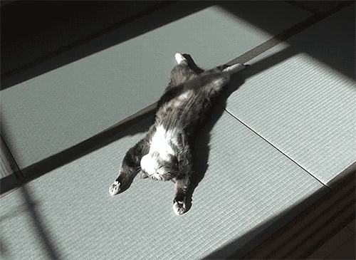 1365796396_1778926227