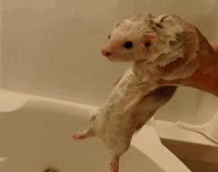 134998_yapfiles.ru