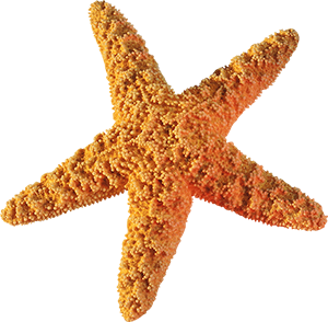 5b099b22696e