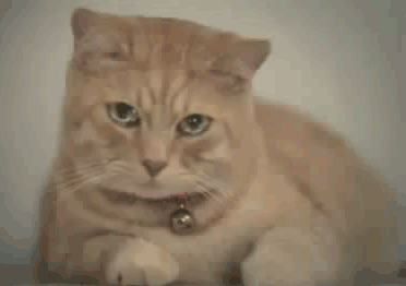 с