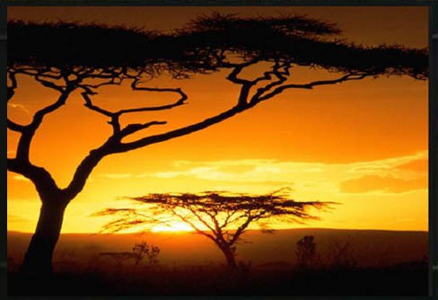 faktura_materiala_yapfiles.ru