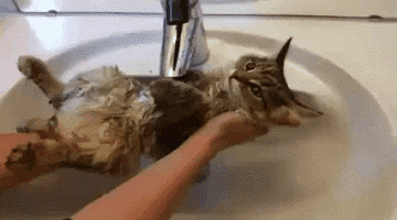 1441276619_567129335