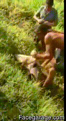 1441388300_387127776