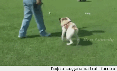 troll-face.ru_9e34b1