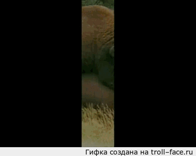 troll-face.ru_2c305f