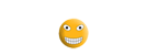 anim9