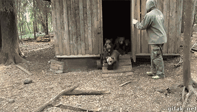 1441869959_1388185454