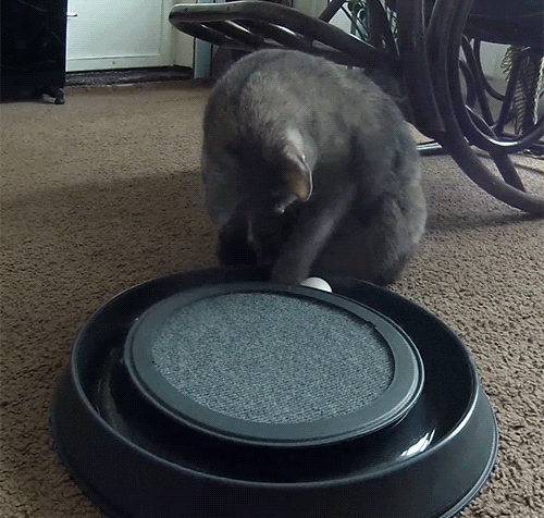 1441885007_434743749