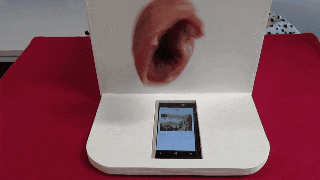 c24673431957725091cc216b7ff