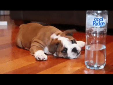 1442000488_796157001