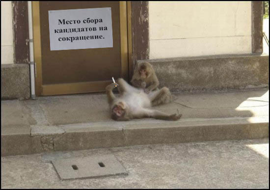 post-3-12368830152912