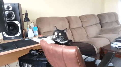 05092015-gifki-gifki-smeshnye-gifki-animashki_650935115