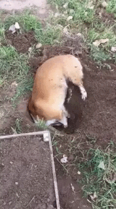 1442252669_615065749