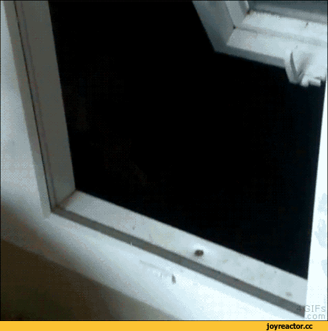 D0B3D0B8D184D0BAD0B8D0B7D0B0D0B1D0B0D0B2D0BDD18BD0B5D0B6D0B8D0B2D0BED182D0BDD18BD0B5D0BFD0B5D181D0BE