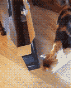 1_daily-gifs-mix-608-17