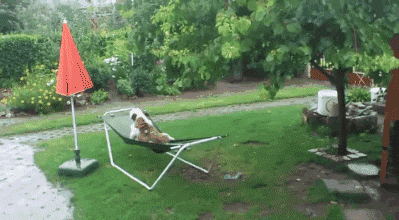 1442381420_1161538612