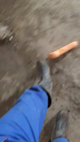 1441907923_2100927489