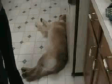 2ddb2fc4f2a47a5ecaa954d8fb78a1f1