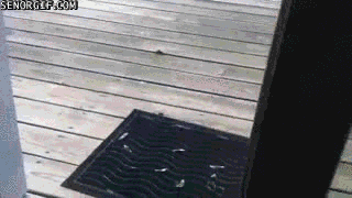 91d71df240e34410471851eb126bff3f