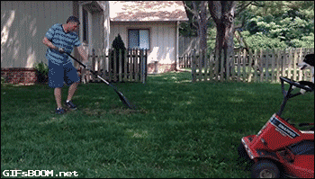 giphy (8)