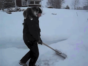 4877b89744ad4e616e546f80f28