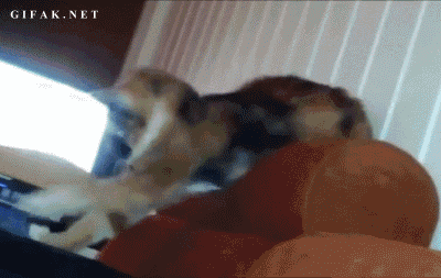 трясет головой