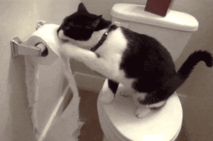 6093cac73f0e0a4664a45378643