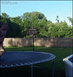 _Trampoline Pool Fail
