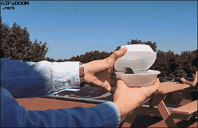 -птичка-птичку-жалко-2433150