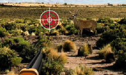 на зайца монстра