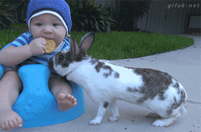 safe_image.php