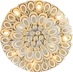 peacock-feather-pattern-modern-crystal-ceiling-lighting-upward-view-51330585