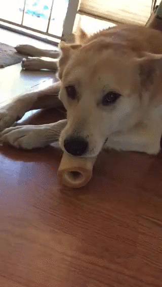 Mmmm Peanut Butter - Imgur