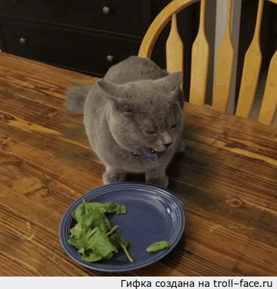 52758f57081e35564ba4df231ee