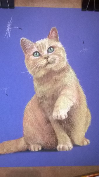 Картины пастелью