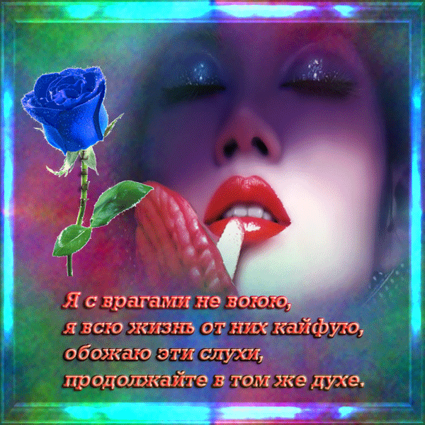 56955262_1269567524_115