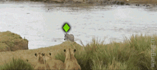 1b90d19adb7781bbfaaf40c41eb58beb5347c6114b4f75.78979977_yapfiles.ru