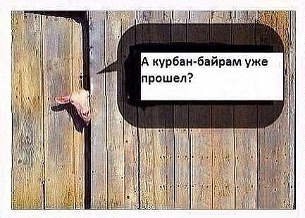 image (1)