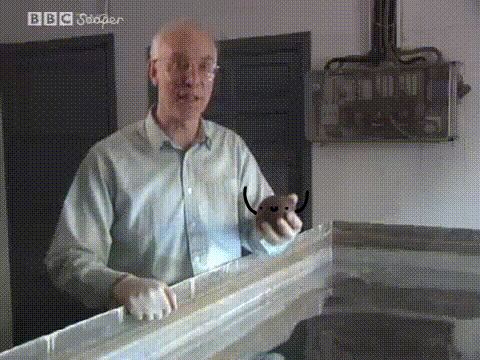 _shar_v_rtuti_yapfiles.ru