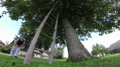 2ff396f1bdbd5327cb7c7146353