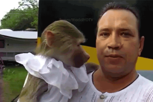 262a2c10803cca73d827129e901