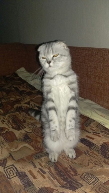 photo457253587566831825