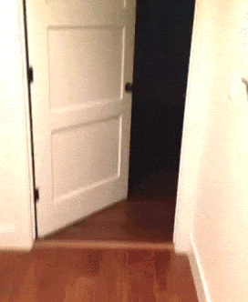 1443535337_606334011