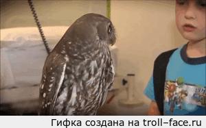 bezyimyannaya-B93CEb