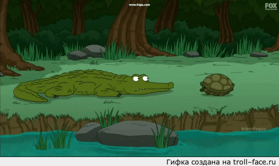 черепаха-клустрафоб
