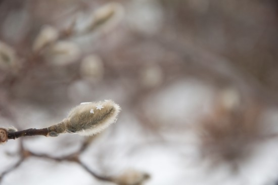 Мигающие лампочки