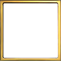frame_gold