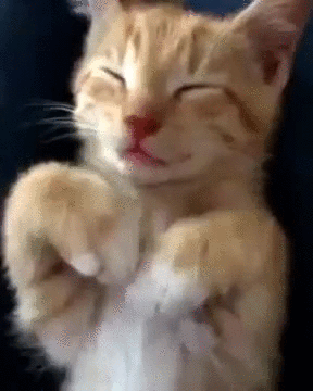 1443901592_714429835