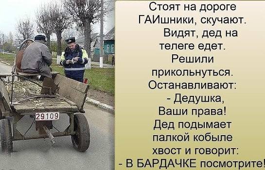 Стоят на дороге...